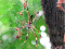Cliquer pour voir la photo en format original