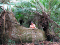 Cliquer pour voir la photo en format original