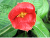Cliquer pour voir nos photos
